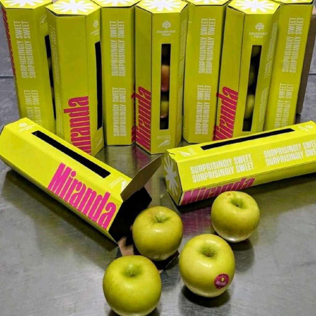 Jual Buah apel Miranda manis banyak air apel Miranda gift pack | Shopee ...