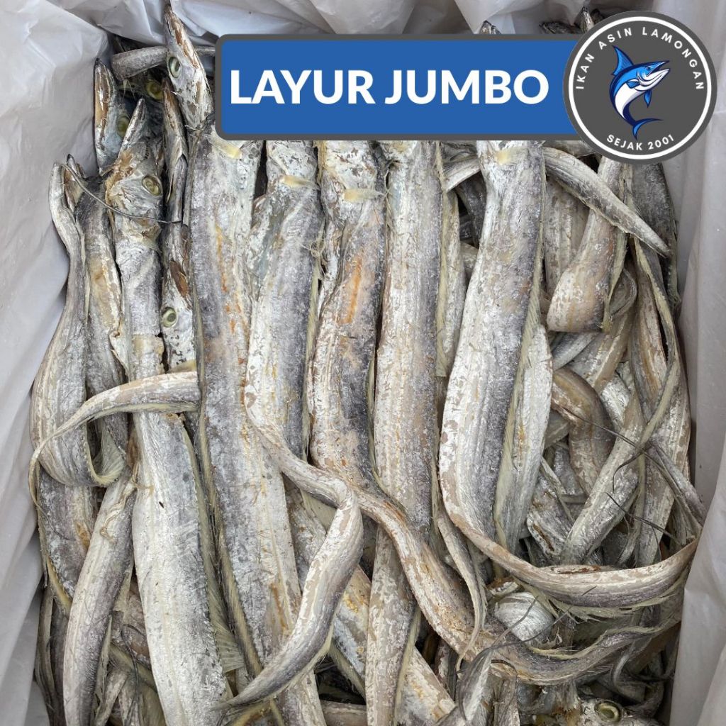 Jual Ikan Layur Terlengkap & Harga Terbaru Mei 2026 | Shopee Indonesia