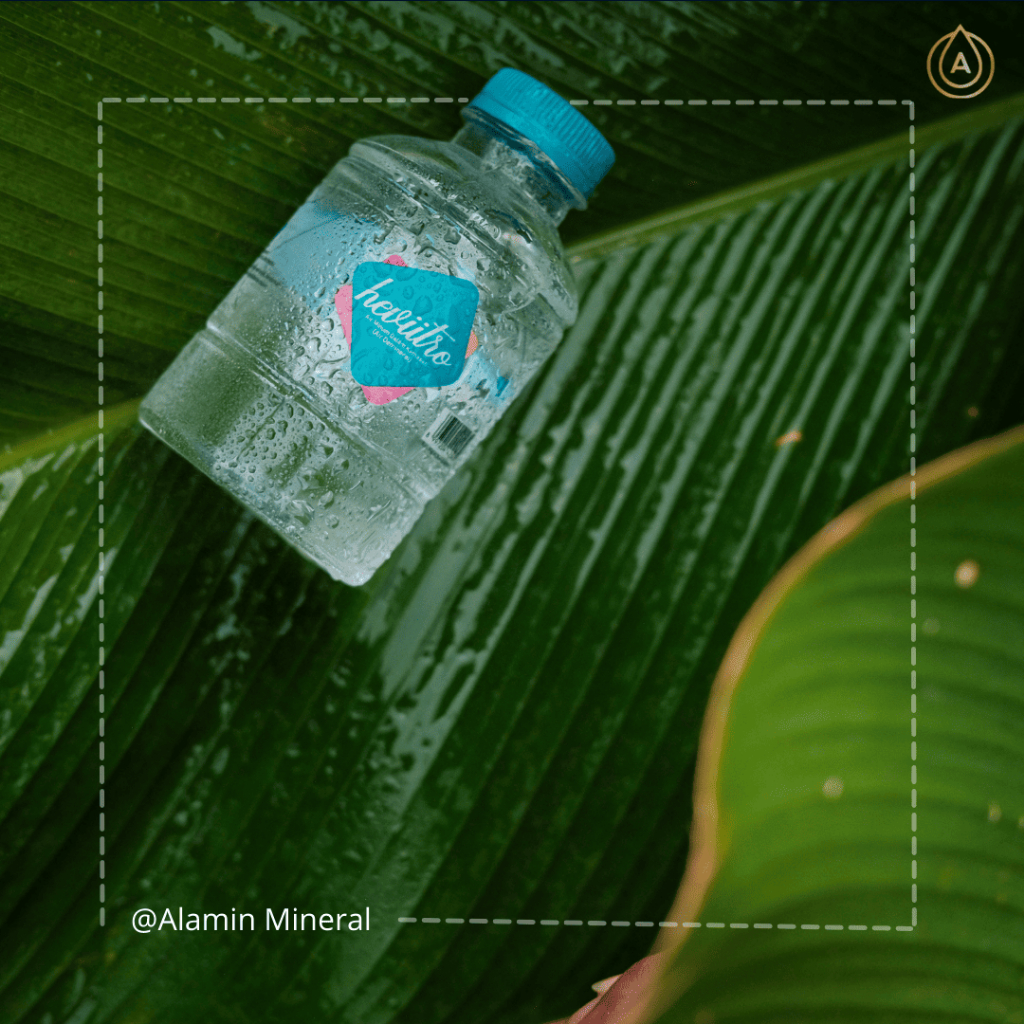 Jual air minum 1 dus ,Hevitro 220ml , 1 Dus Isi 24 Botol , Air Sehat ...