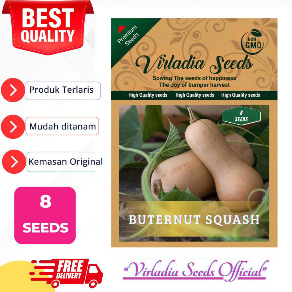 Jual [Virladia Seeds] Biji Benih tanaman Labu Madu | Butternut Squash ...