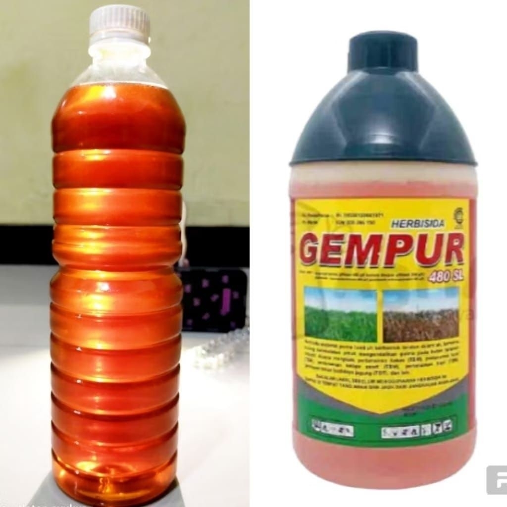 Jual obat rumput gempur 1 liter pembasmi rumput paling ampuh | Shopee ...