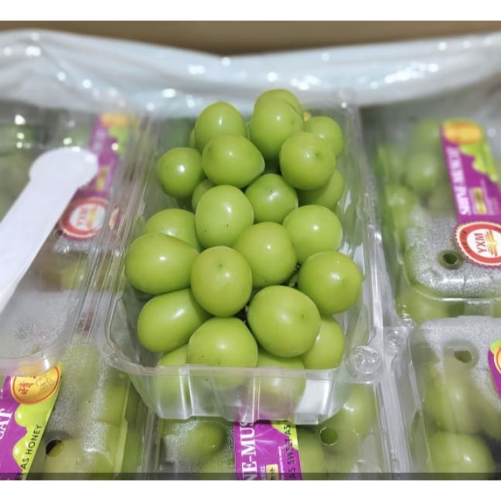 Jual Anggur hijau Muscat 500 gram | Shopee Indonesia