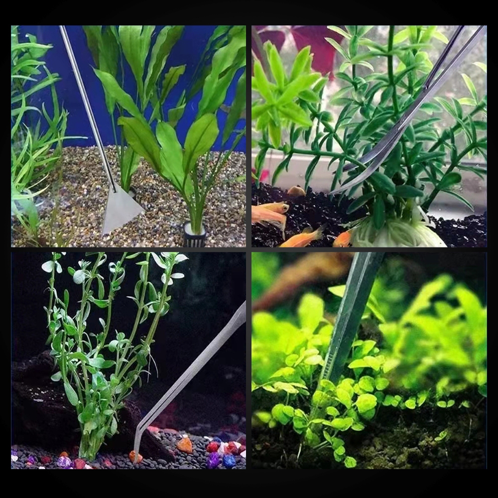 Jual Peralatan Aquascape Stainless Pinset & Gunting Lurus Bengkok ...