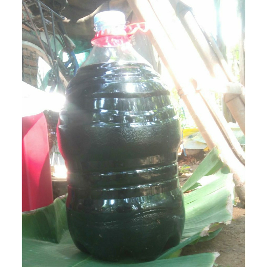 Jual Minyak Jelantah Terlengkap & Harga Terbaru Juli 2026 | Shopee ...