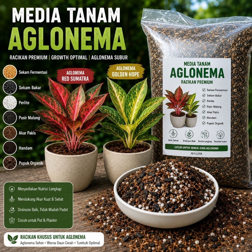 Media tanam bunga aglonema sekam parlite handam akar pakis siap pakai kemasan 1000gr