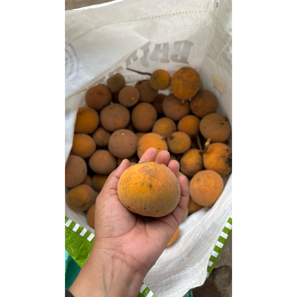 Jual Buah Sentul Terlengkap & Harga Terbaru Agustus 2026 | Shopee Indonesia