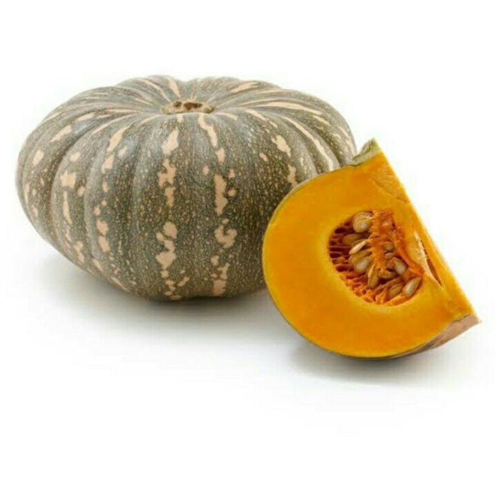 Jual labu waloh/waluh 1 kg | Shopee Indonesia