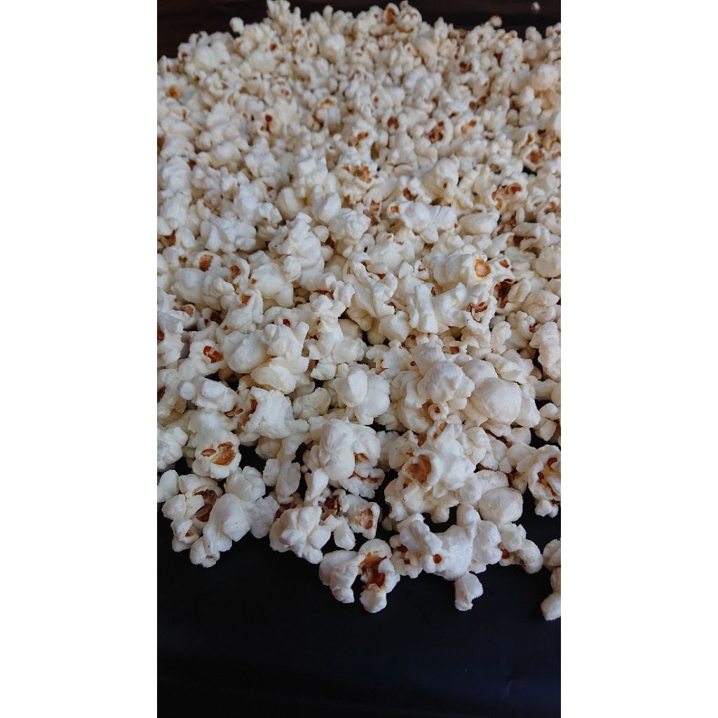 Jual Jagung Popcorn Matang Varian Rasa ORI dan Keju Mekar Renyah Fresh ...