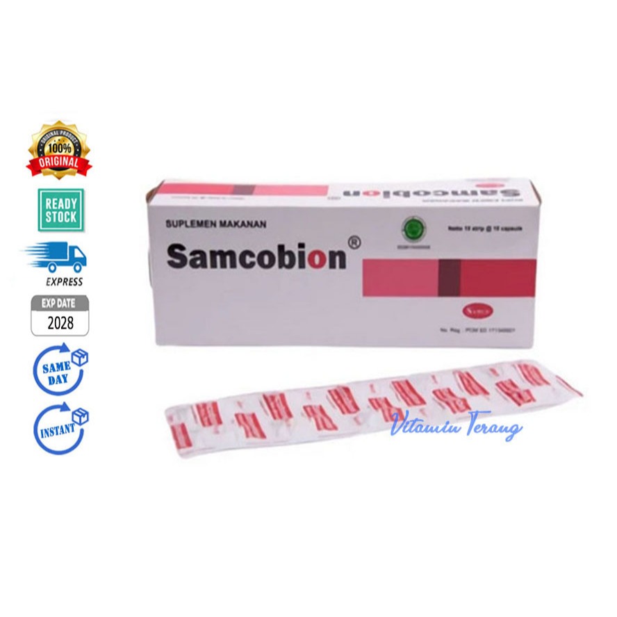 Jual (STRIP isi 10) Samcobion Multivitamin & Mineral Anemia | Shopee ...