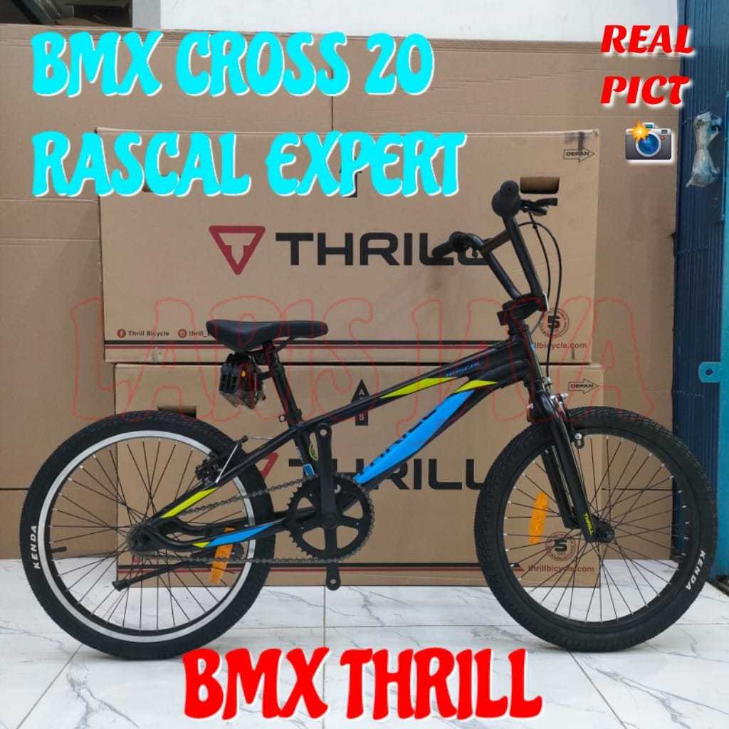 Jual BMX 20 THRILL RASCAL EXPERT NEW 2025 sepeda bmx 20 thrill rascal ...