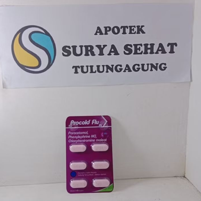 Jual PROCOLD FLU ISI 6 TABLET, UNTUK MERINGANKAN GEJALA FLU | Shopee ...