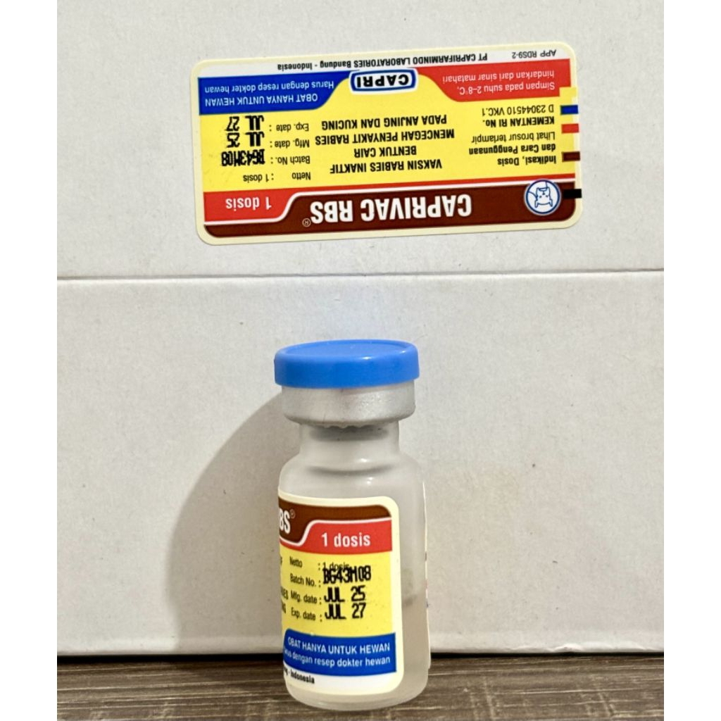 Jual VAKSIN RABIES KUCING ANJING 1 ds + spuit Merk Caprivac | Shopee ...