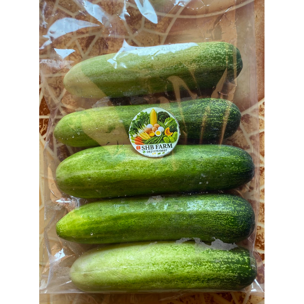Jual Timun 1 Kg Terlengkap & Harga Terbaru Juli 2026 | Shopee Indonesia