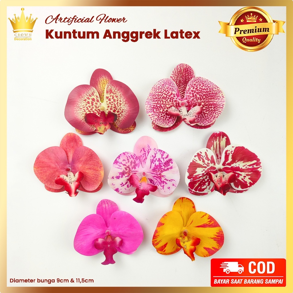 Jual Bunga Orchid Terlengkap & Harga Terbaru Oktober 2026 | Shopee ...