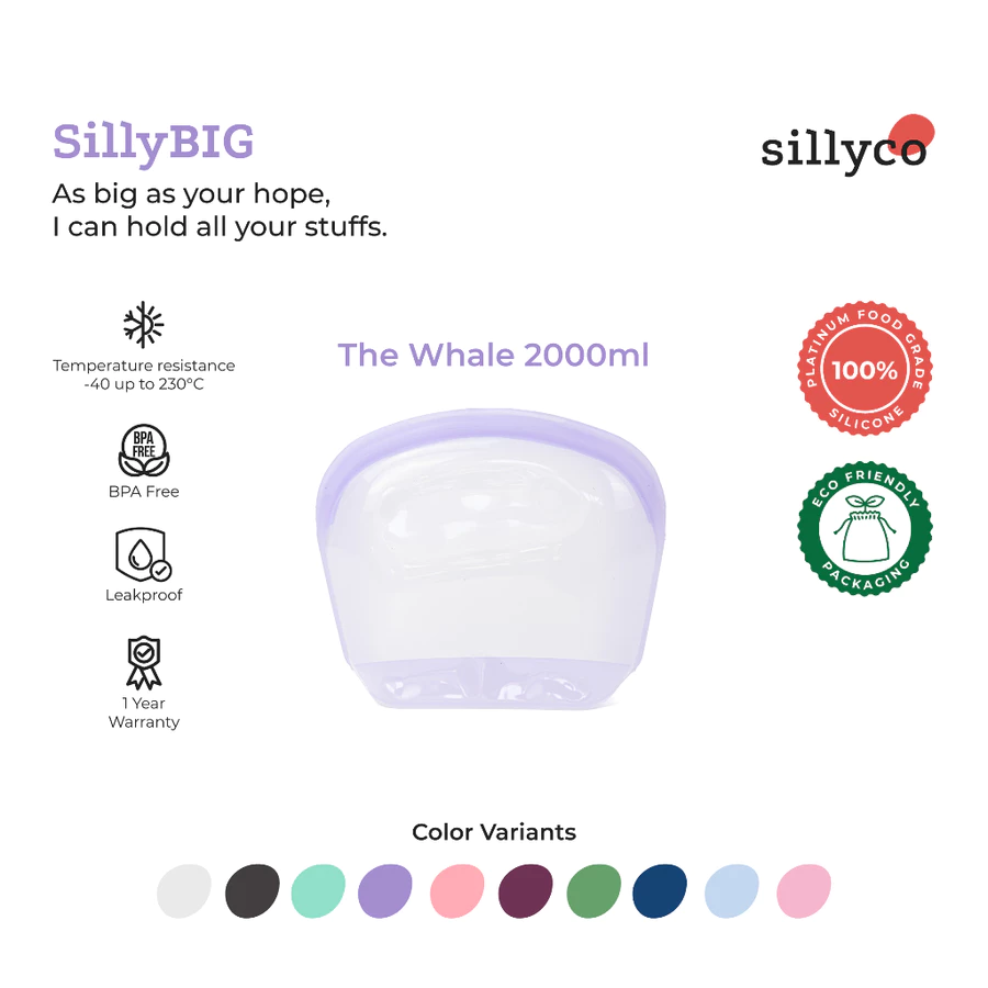  SillyBIG