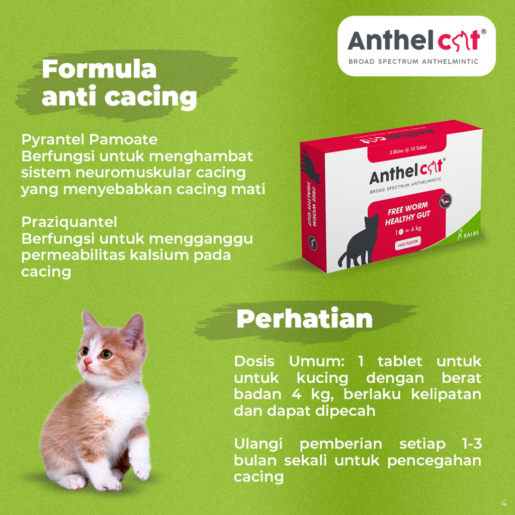 Jual Anthel Cat 1 Box @30 Tablet - Obat Cacing Kucing Spektrum Luas ...