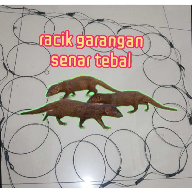 Jual RACIK JERAT GARANGAN TALI JERAT GANGGARANGAN SAWAH JEBAKAN BAYAWAK ...