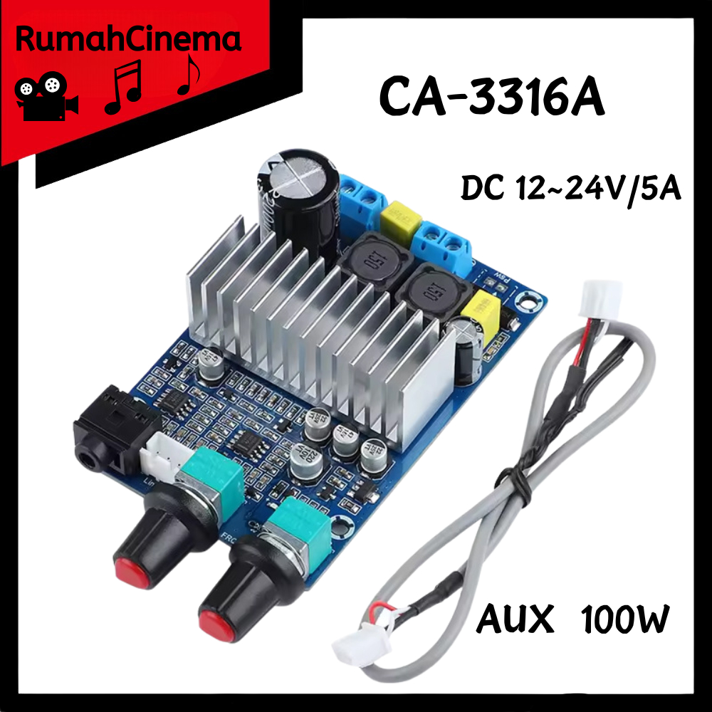 Jual CA-3316A Papan Penguat Audio Mono 100W Modul Penguat Subwoofer ...
