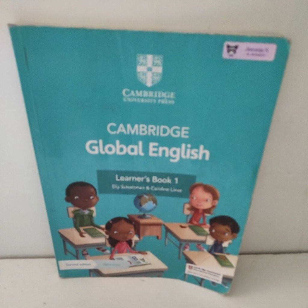 Cambridge visual data 4