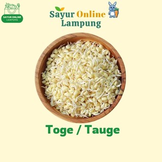 Toge / Tauge -100 Gram