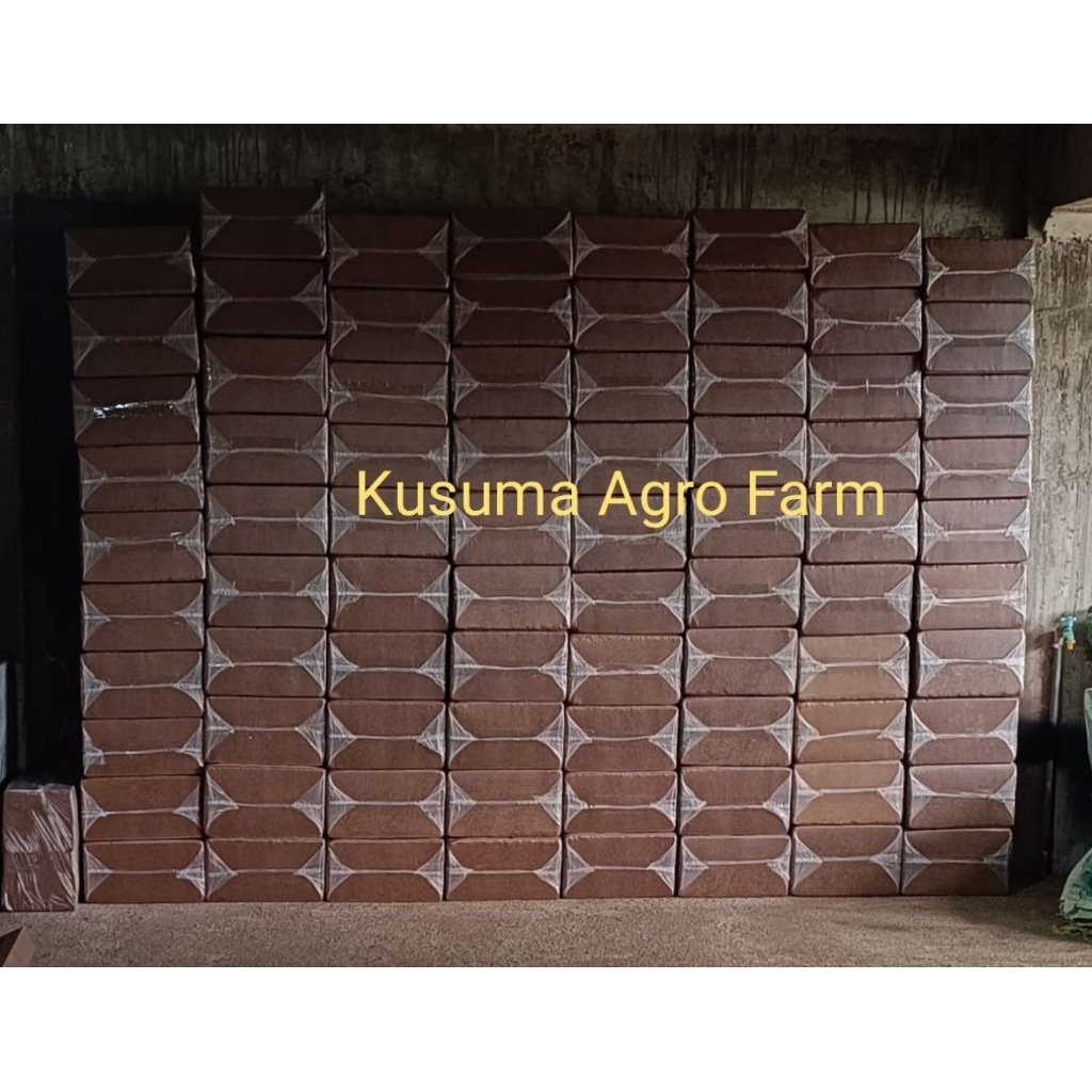 Jual Cocopeat blok 5kg rendah zat tanin ukuran 30x30x15cm, media tanam ...