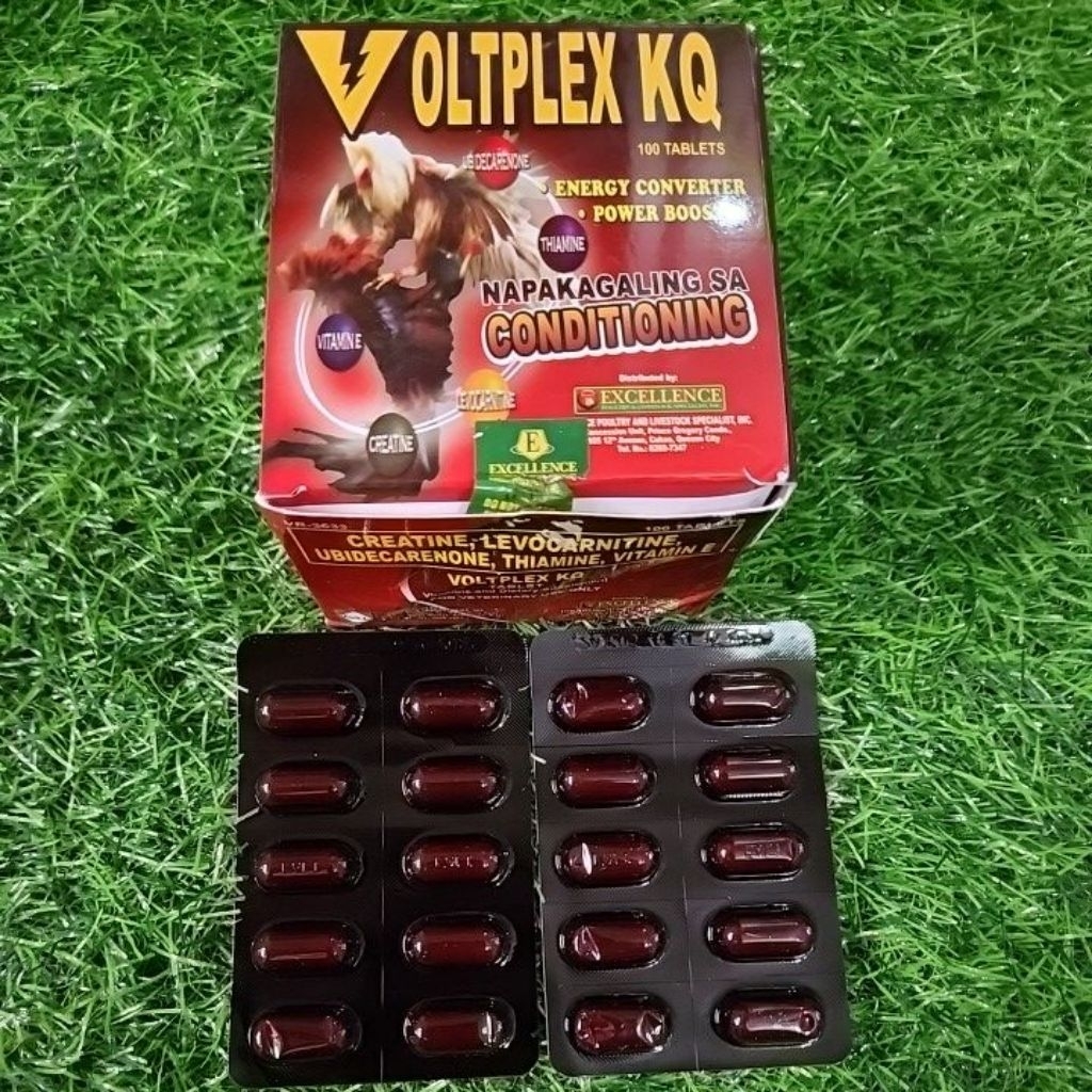 Jual Voltplex KQ - 1 papan ( 10 tablet ) | Shopee Indonesia