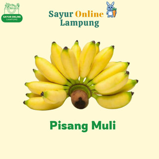 Pisang Muli - 1 Sisir