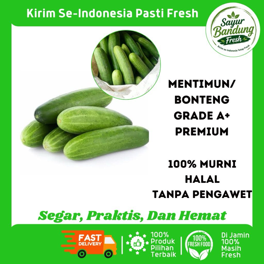 Jual Timun 1 Kg Terlengkap & Harga Terbaru Juli 2026 | Shopee Indonesia