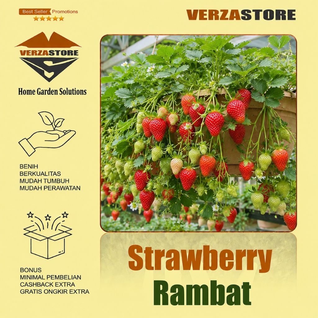 30 Biji - Benih Bibit Buah Strawberry Rambat