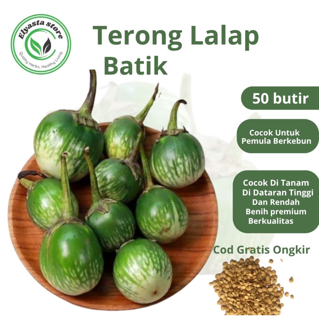 25 Biji Benih Tanaman Sayur Terong Lalap Hijau - Tahan Penyakit, Cocok untuk Dataran Rendah- Tinggi