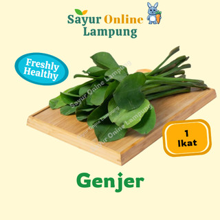 Genjer