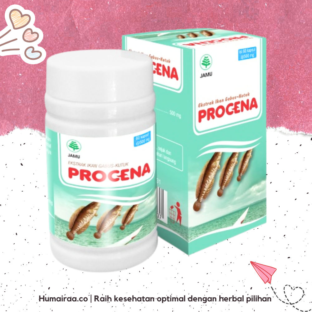 Jual Procena 100% ORIGINAL TANPA RAGU OBAT HERBAL BPOM HALAL luka ...