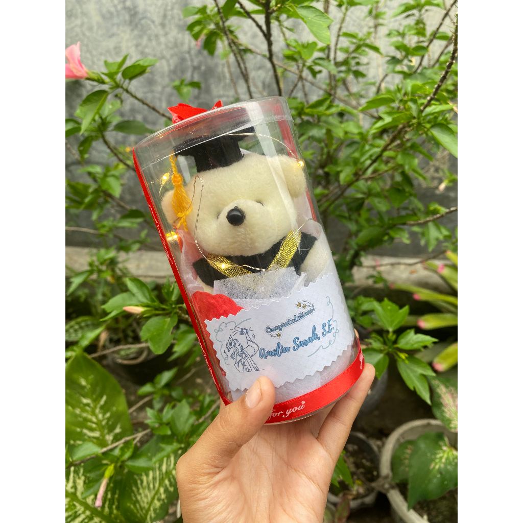 Jual Boneka Wisuda Hadiah Wisuda Gift Graduation Custom Boneka Wisuda ...