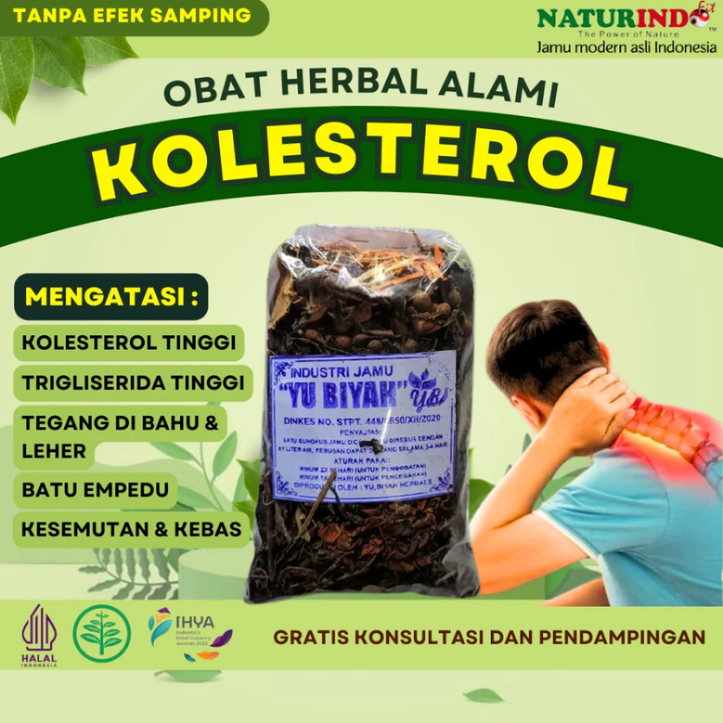 obat Kolesterol Darah Tinggi Dan Asam Urat Hipertensi Nyeri Sendi Penurun Kolesterol Jahat Syaraf Kejepit Sakit Pinggang Penghancur
