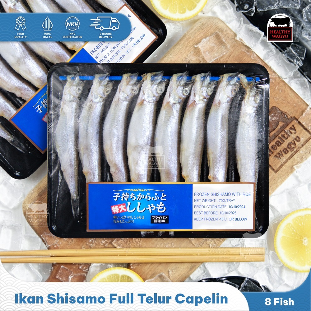Jual Ikan Shisamo Full Telur Capelin Fish Premium Quality Import 8 pcs ...