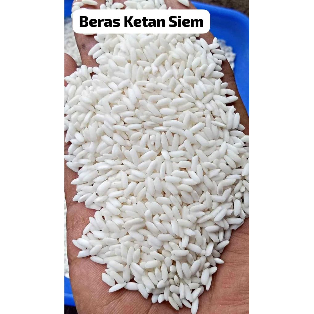 Jual BERAS KETAN SIAM/ KETAN SIAM UTUH PREMIUM | Shopee Indonesia