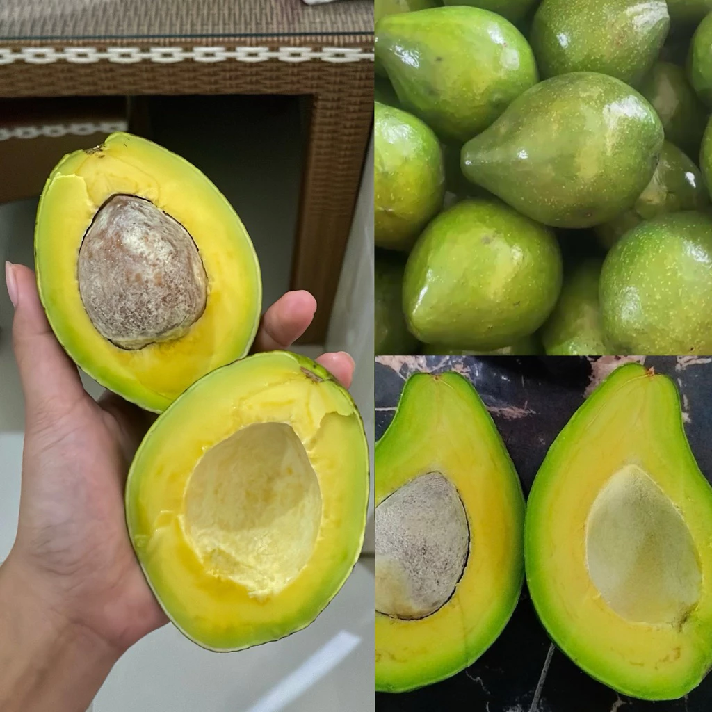 Jual Buah Blitar