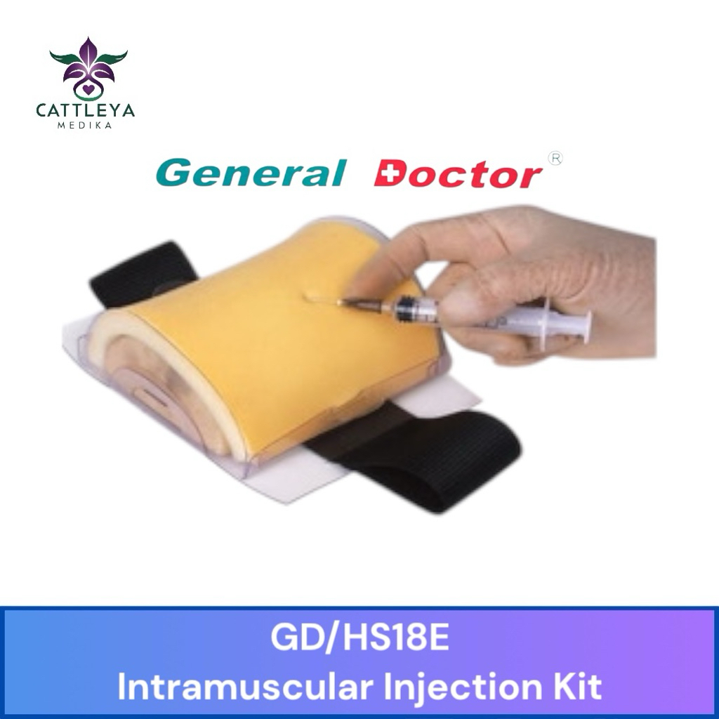 Jual PHANTOM MANIKIN INTRAMUSCULAR INJECTION KIT GD/HS18E GENERAL ...
