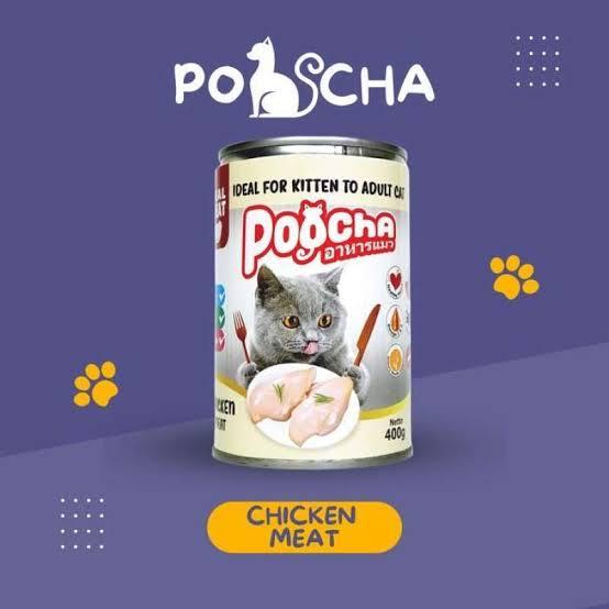 Jual POOCHA MAKANAN KUCING KALENG 400 GRAM REAL FOOD WET FOOD POCHA ...