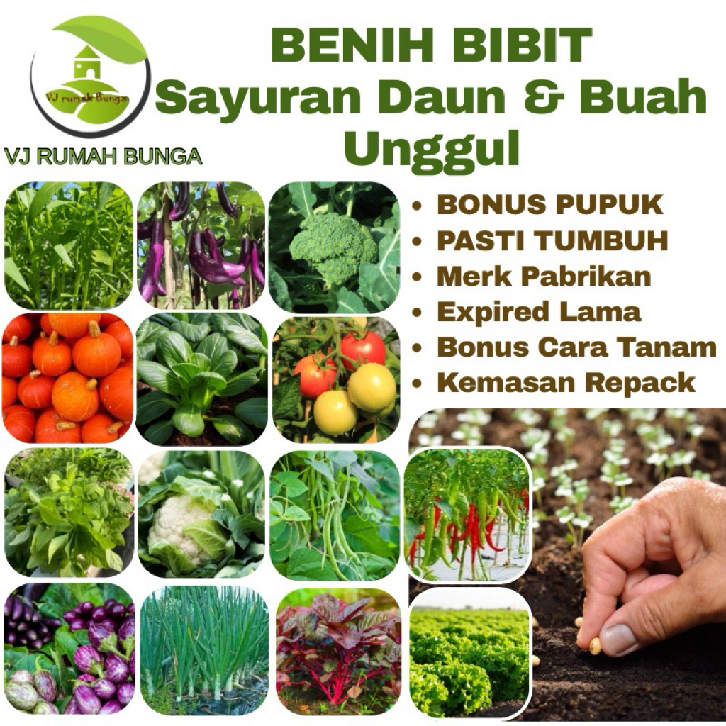 Benih Serba Seribuan Sayuran Daun dan Buah