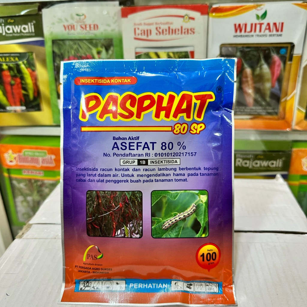 Jual INSEKTISIDA PASPHAT 100 gram - Insektisida Asefat 80% | Shopee ...