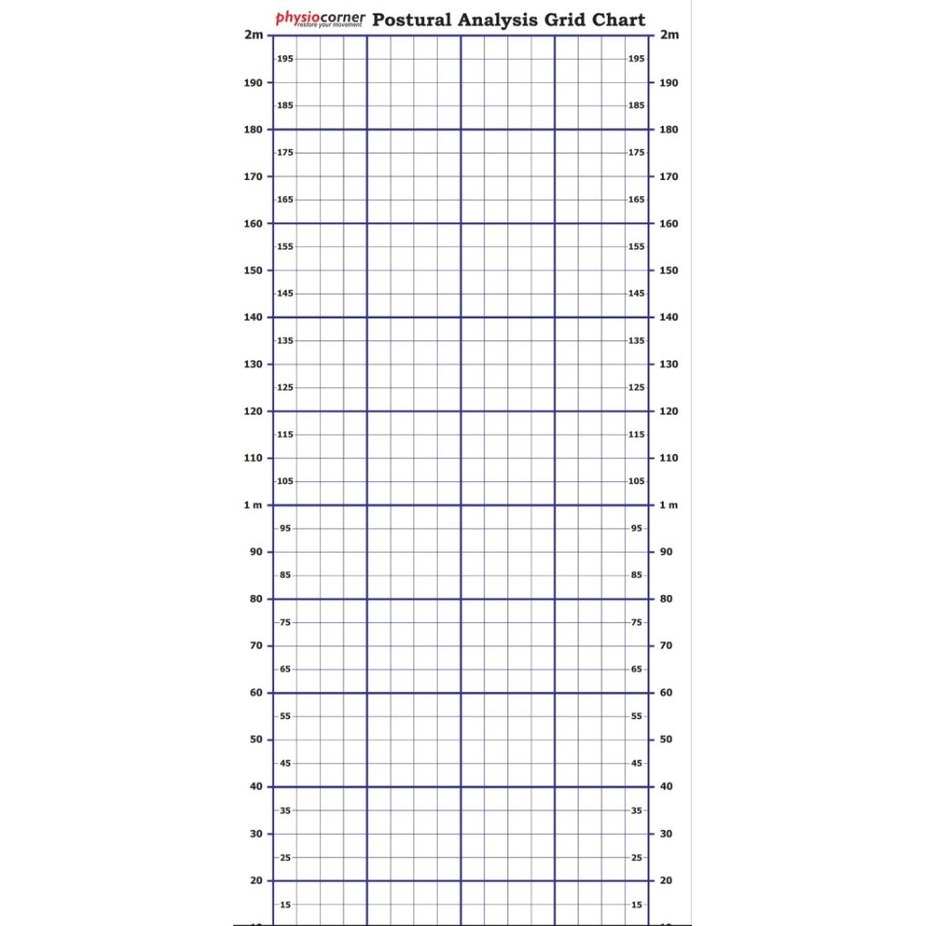 Jual postural grid chart/postur fisioterapi/grid chart | Shopee Indonesia