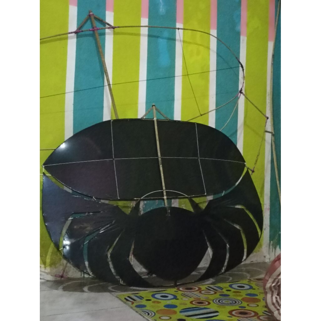 Jual LAYANGAN RAM-RAMAN MOTIF SPIDER POLOSAN 1,5CM+SENDAREN | Shopee ...
