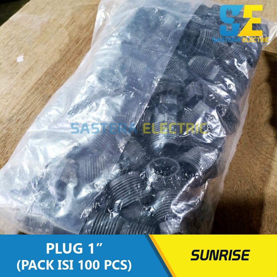 Jual (100 pcs) Plug 1