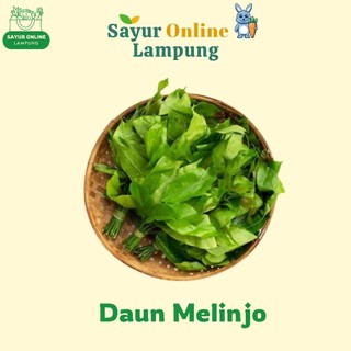 Daun Melinjo - 1 Plastik