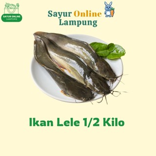 Ikan Lele -1/2 Kilo