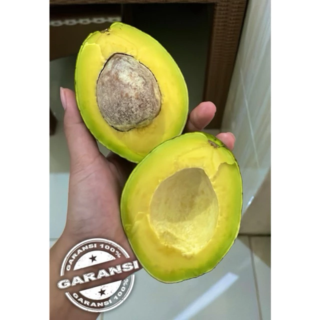 Jual Buah Blitar