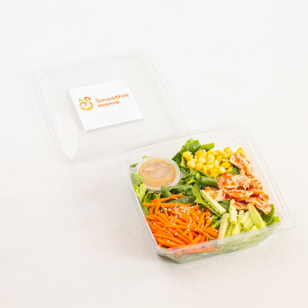 Jual SMOOTHIEMAMA Salad Box Salad Diet Sehat Mini 175gr | Shopee Indonesia