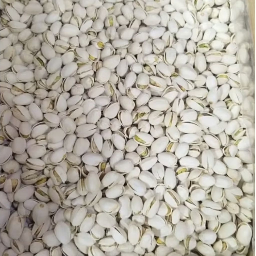 Jual KACANG PISTACHIOS / FUSTUK CANGKANG (PREMIUM) 1 KG | Shopee Indonesia