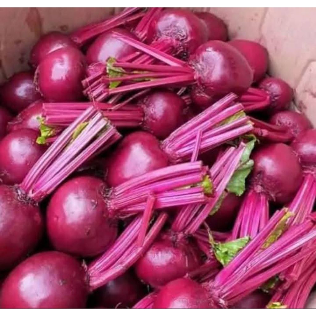 Jual BUAH BIT SEGAR 1kg | Shopee Indonesia